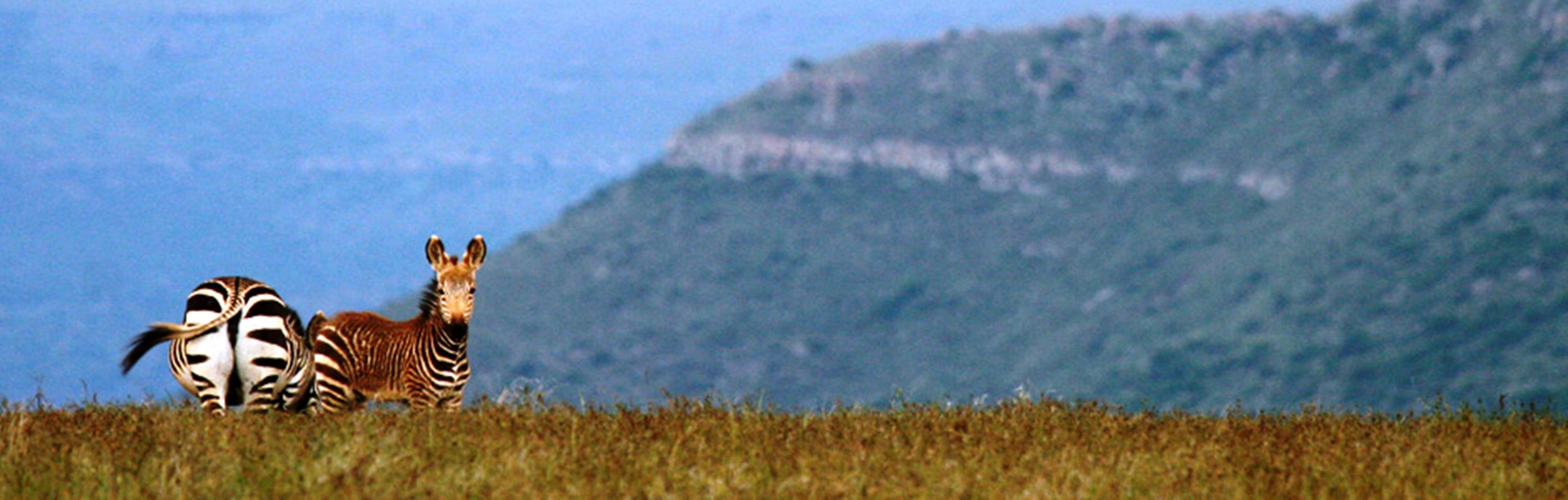 Hotel Mount Camdeboo Graaff-Reinet Esterno foto