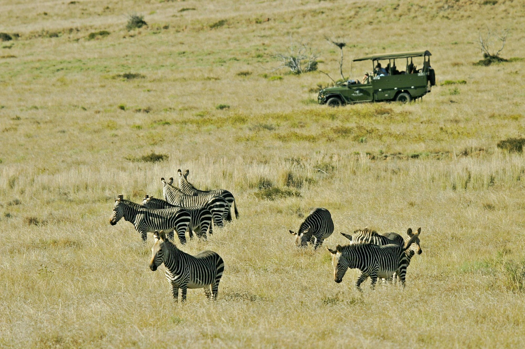 Hotel Mount Camdeboo Graaff-Reinet Esterno foto